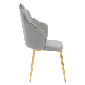 Tian Pink, Mink, Grey, Black Velvet Dining Chair