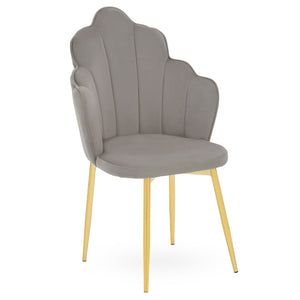 Tian Pink, Mink, Grey, Black Velvet Dining Chair