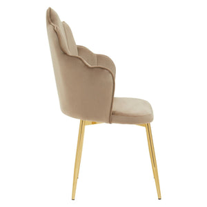 Tian Pink, Mink, Grey, Black Velvet Dining Chair