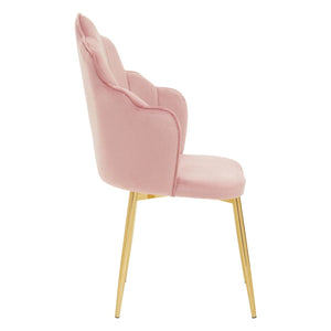 Tian Pink, Mink, Grey, Black Velvet Dining Chair