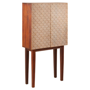 Costal Cabinet