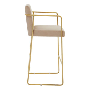 Piermount Mink Velvet & Gold Bar Stool